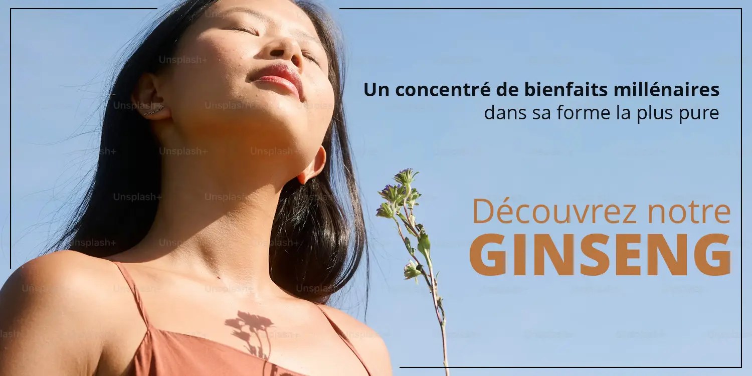 Découvrez notre offre de ginseng rouge de Corée